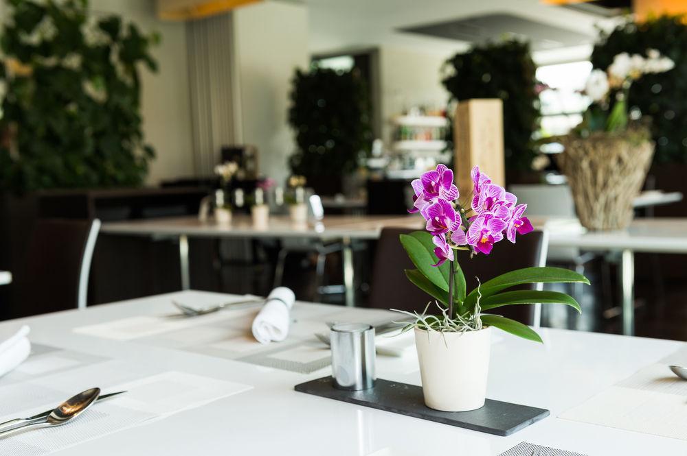 Hotel Apart - Welcoming L Urban Feel L Design Risch-Rotkreuz エクステリア 写真